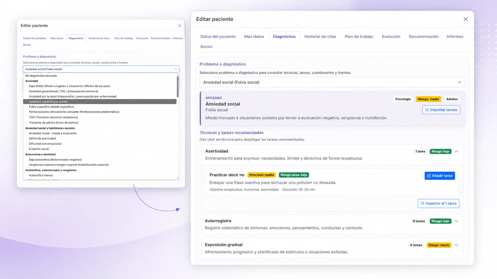 Diagnósticos, objetivos, tareas e informes